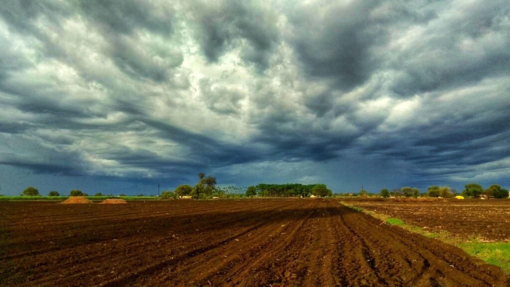 India’s Monsoon Revival Brings Relief Amid Economic and Agricultural Expectations