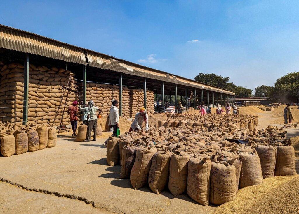 India Strengthens Food Security with Record Wheat Procurement in 2026