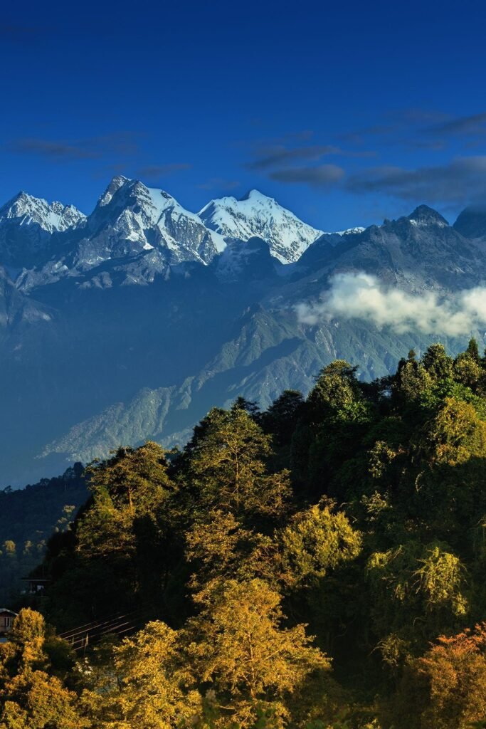 Sikkim Promotes Organic Farming and Eco-Tourism to Drive Sustainable Growth